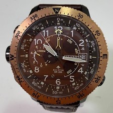 Orologio Citizen Promaster