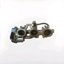 AKUNI GRUPPO CORPO FARFALLATO