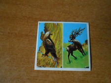 FIGURINA ANIMALI - N. 353/356