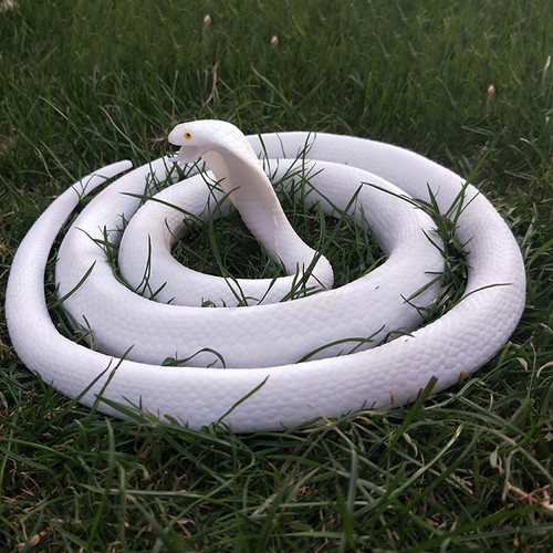 Serpente realistico finto