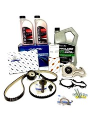 KIT CINGHIA DISTRIBUZIONE FORD