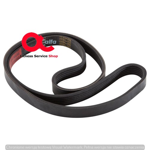 Cinghia alternatore life - ,