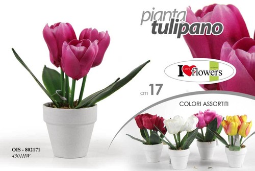 Pianta tulipani piantina finta - pianta,