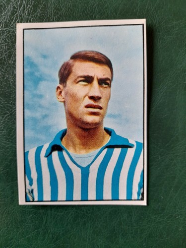 Figurina calciatori panini - figurina,