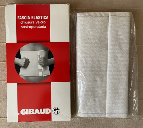 Fascia elastica post - fascia,