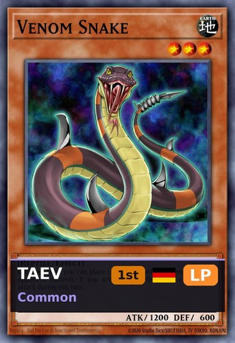 Serpente velenoso taev - serpente, 1°