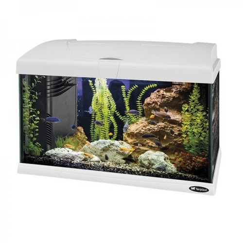 Acquario ferplast capri 50l - capri, 50l 