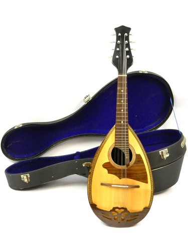 Mandolino corde con retro - 8,