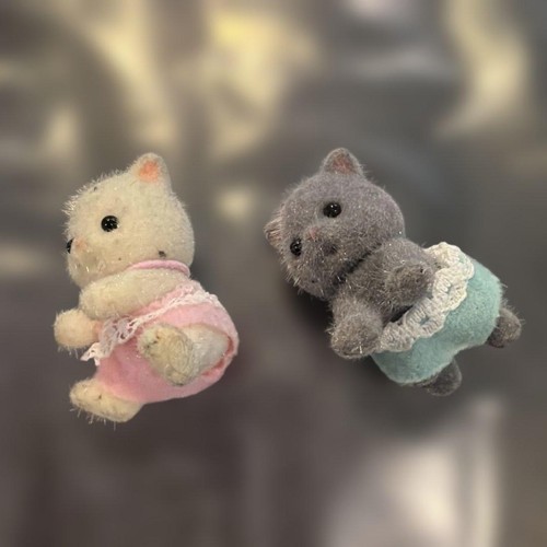 Gemelli gatti persiani