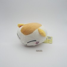 Nemuneko C2410C gatto