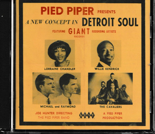Pied piper new concept in - pied,