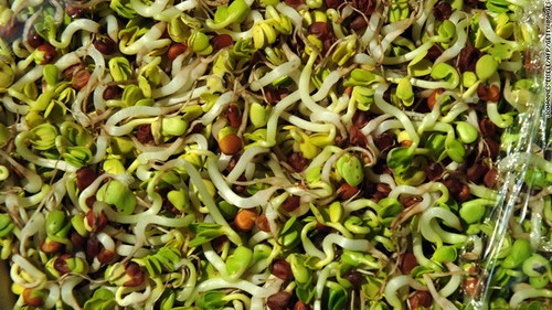 Miscela germogliante - miscela,