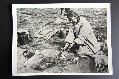 Foto originale cuoca eschimese - originale,