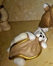  CANE TODO  BIANCO DISTESO