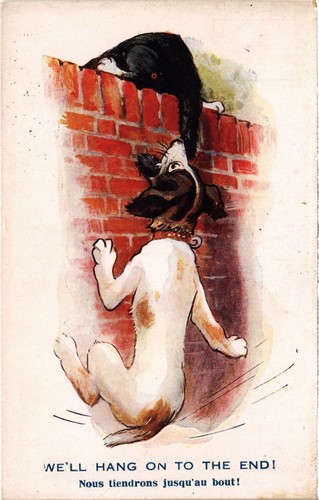Cpa dog cat humor - cat, dogs