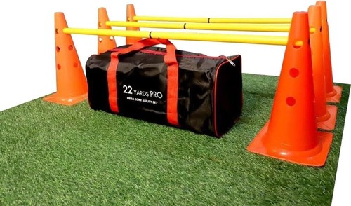 Best dog agility set - dog,