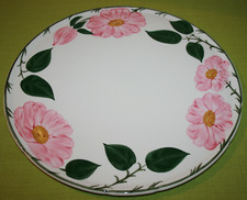 Piatto torta rosa selvatica