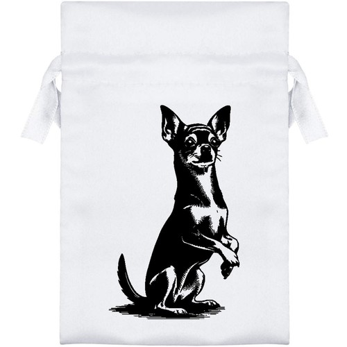 Cute chihuahua sitting - chihuahua,