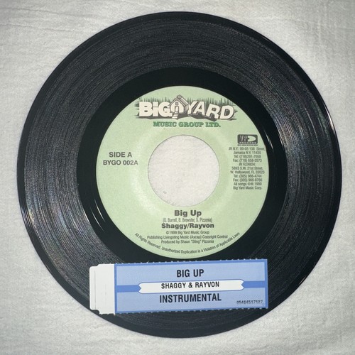 Shaggy rayvon 45rpm rare - shaggy,