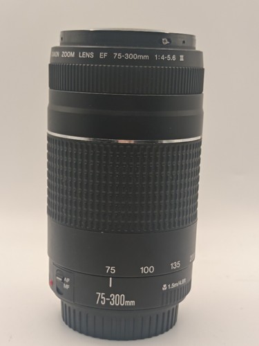 Obiettivo canon 300mm - ef, 75-300mm