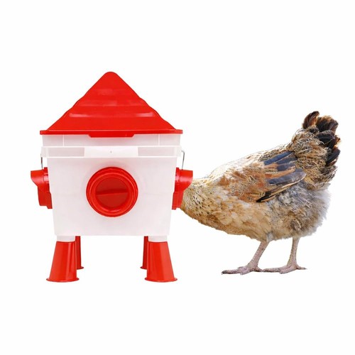 Easy media mangiatoia per - easy,