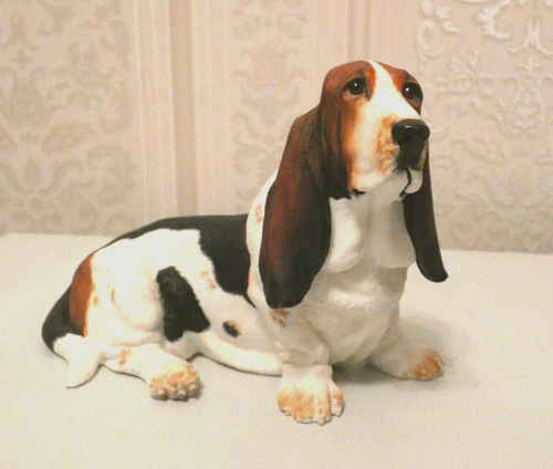 Bassett hound border fine - bassett,
