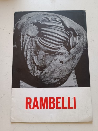 Mostra personale amilcare - , di