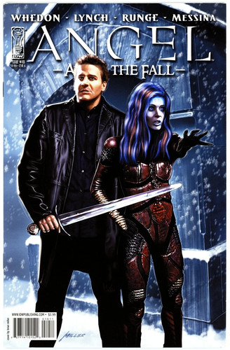 Angel after the fall - angel:,