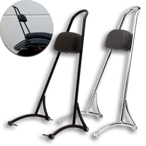Sissy bar passenger - sissy,