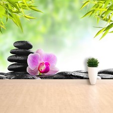 Fotomurale da parete non tessuto poster immagine orchidea e pietre