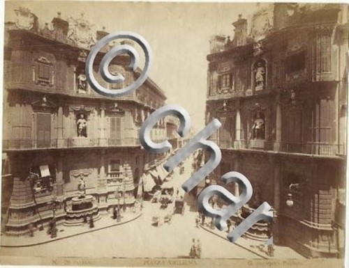 Foto albumina fotografo - foto,