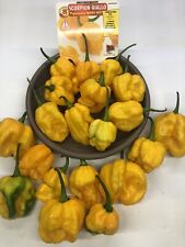 Peperoncini Hot pepper Essiccati:Moruga Scorpion Giallo.Nb:Chiedi disponobilità