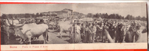 Cartolina siena fiera - ,