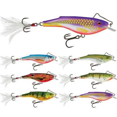 Salmo rail shad esche - shad,