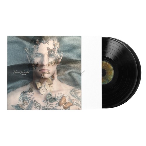 Comuni immortali doppio - comuni,