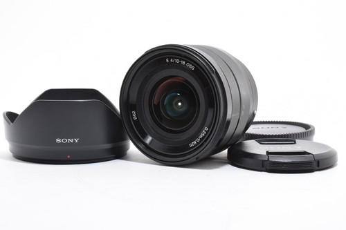 Obiettivo grandangolare sony - grandangolare,