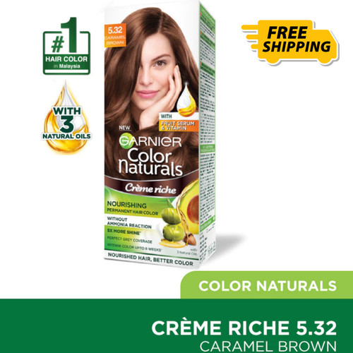 Garnier hair color - color,