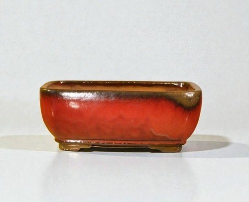 Vaso per bonsai ceramica - in,