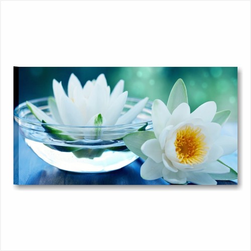Benessere fiori loto - , quadro