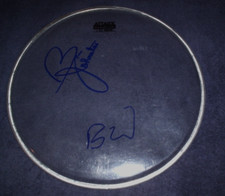 THE BEACH BOYS FIRMATO