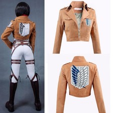 Anime Attack On Titan Cosplay