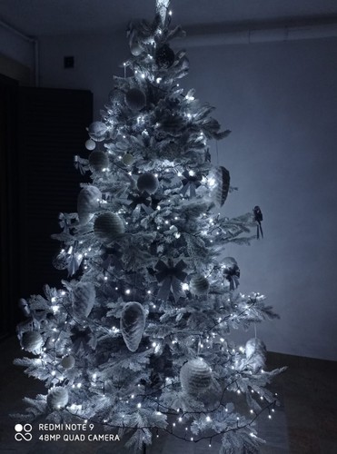 Albero natale innevato - di,