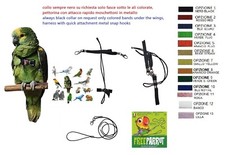 Pettorina pappagalli da cocorite ad amazzone cenerino ganci metallo rapidi xxx