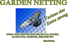 Giardino Rete Uccello