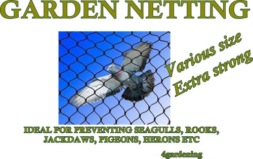 Giardino rete uccello - giardino,