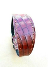 CUCCIOLO LEVRIERO/WHIPPET