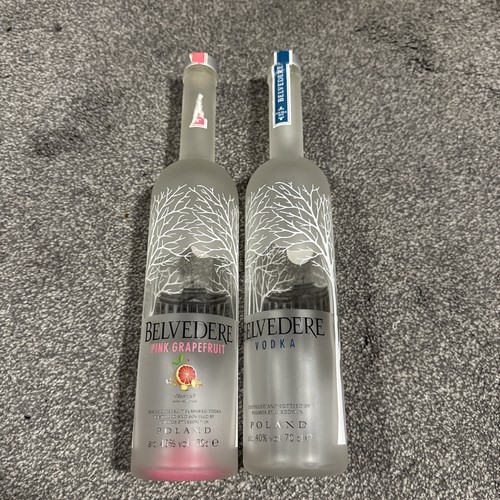 Belvedere vodka bottle empty - bottle,