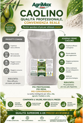Caolino micronizzato bio - micronizzato, ad