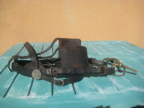 Imbracatura carrozza pony