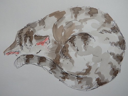 Quadro acquerello disegno